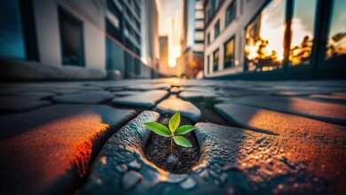 determined 8328263 1280